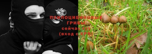 MESCALINE Богородицк